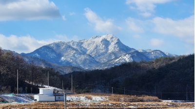 대표사진