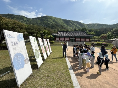 대표사진