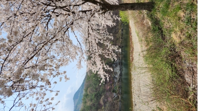 대표사진