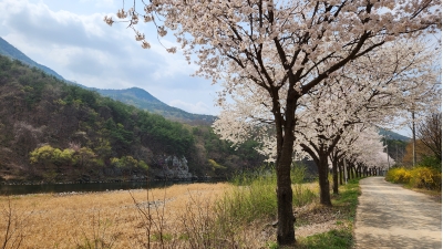 대표사진