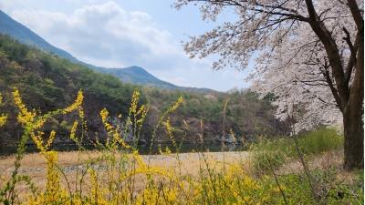 대표사진