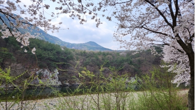 대표사진