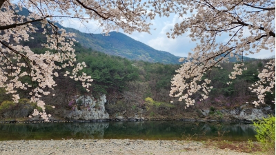 대표사진
