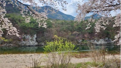 대표사진