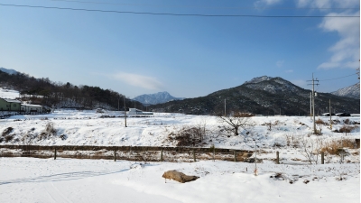 대표사진