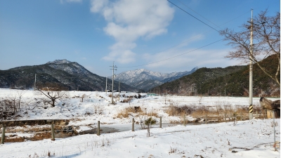 대표사진
