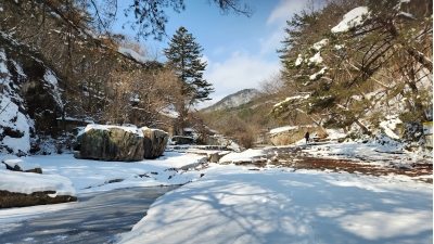 대표사진