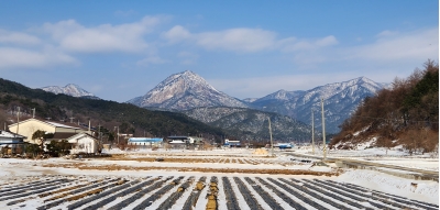 대표사진