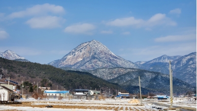 대표사진
